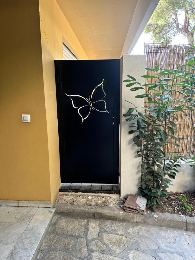 Papillon De Cimiez Apartment Nice Exterior photo
